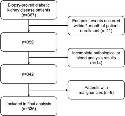 Controlling nutritional status score is associated with renal progression, cardiovascular events, and all-cause mortality in biopsy-proved diabetic kidney disease